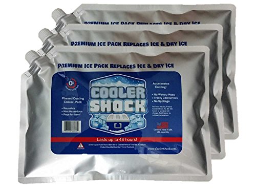 Cooler Shock 3X Lg. Zero°F Cooler Freeze Packs 10"x14