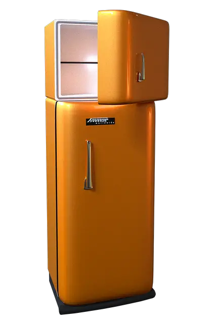 How to Remove Refrigerator Door