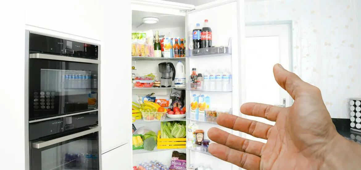 how to defrost a Lec fridge freezer