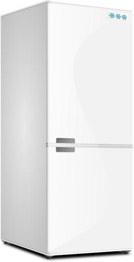 Frigidaire Refrigerator Leaking