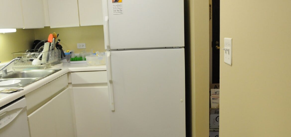 How Does An Absorption Fridge Work: The Ultimate Guide To Absorption ...